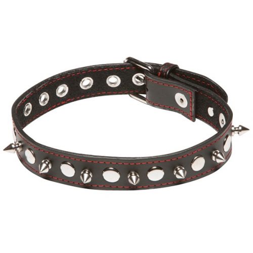 Ошейник с шипами X-Play Spiked Collar