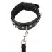 Черный ошейник Collar and Leash с поводком