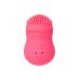 Розовый стимулятор клитора PPP CURU-CURU BRUSH ROTER