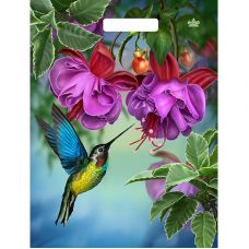 Пакет с принтом в виде колибри в цветах с вырубной ручкой (31х40 см) Пакет с принтом в виде колибри в цветах с вырубной ручкой (31х40 см)
